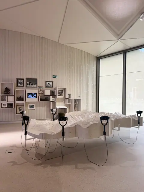 The room and the model
