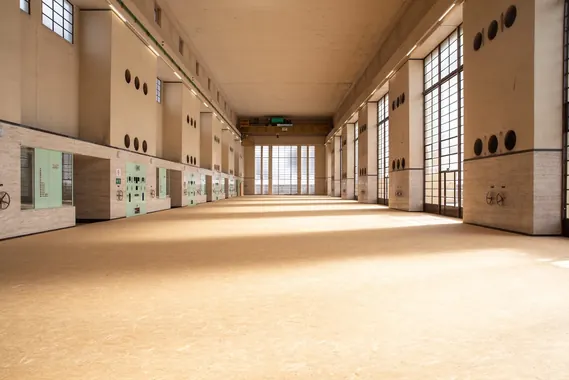 The Chandoline plant, Sion